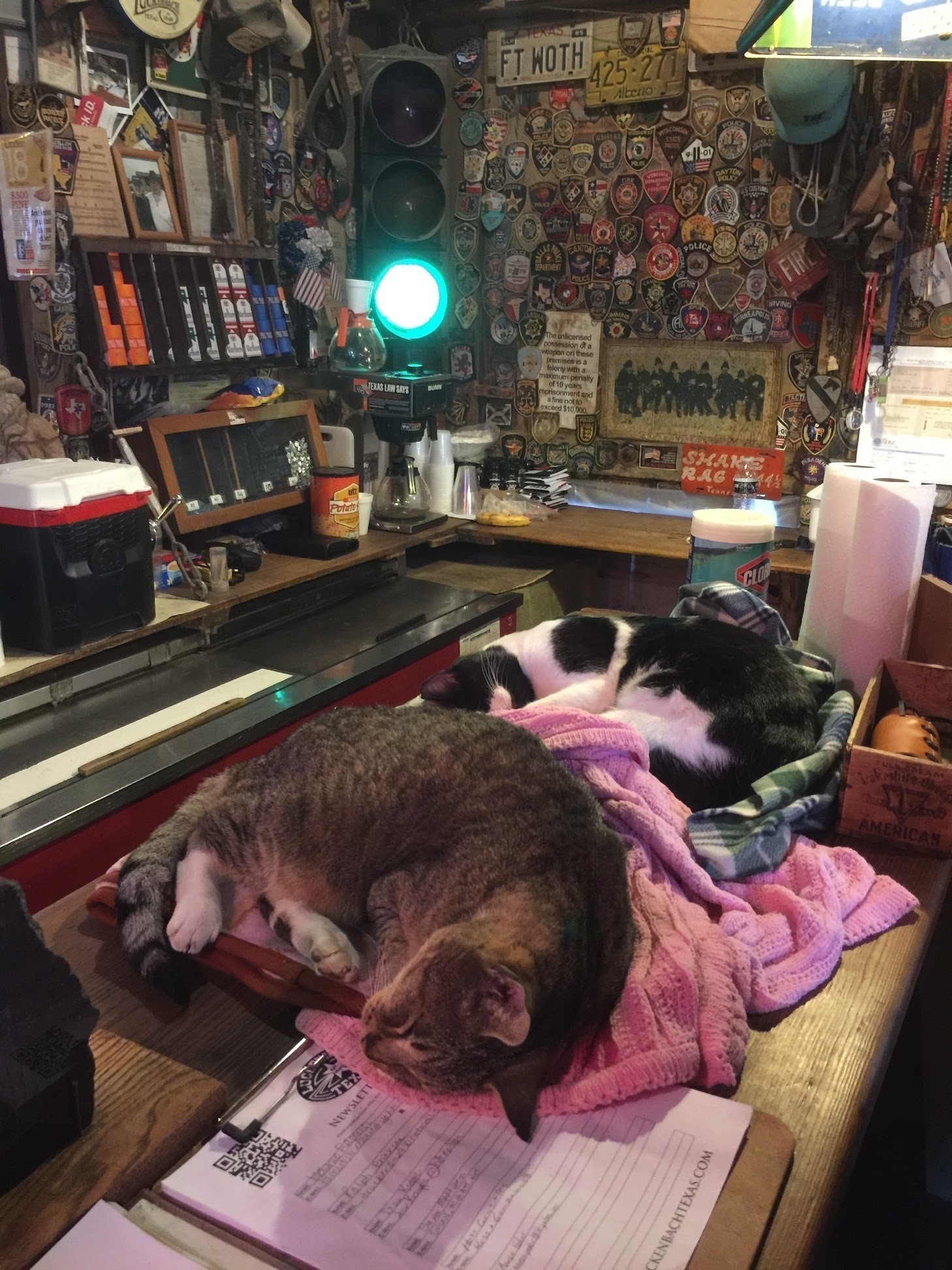 Two cats sleeping on a bar in Luckenback, Texas.
